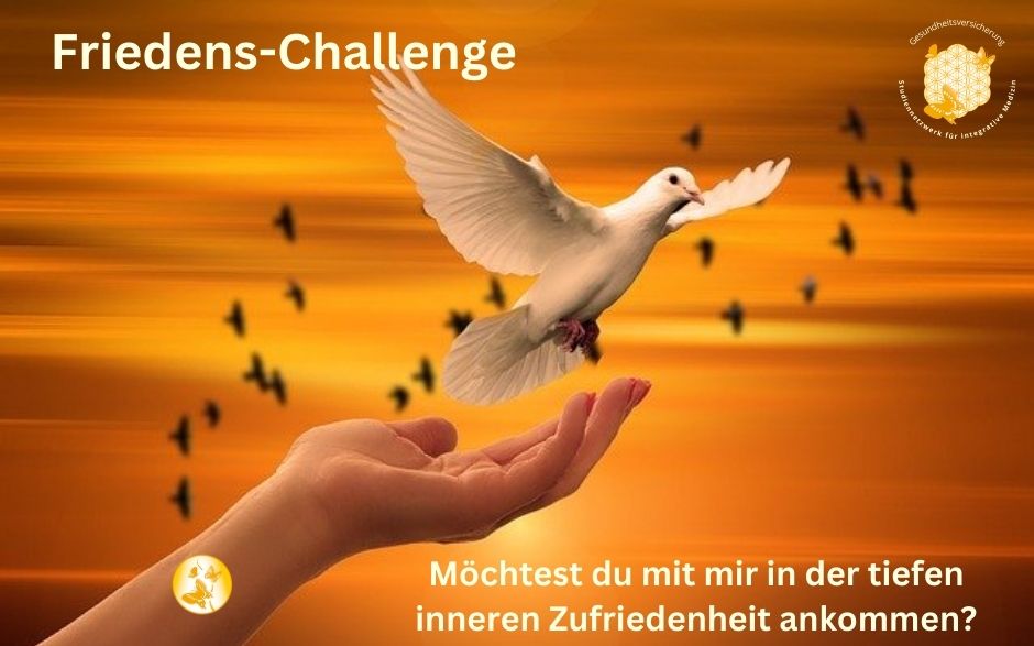 Friedens-Challenge